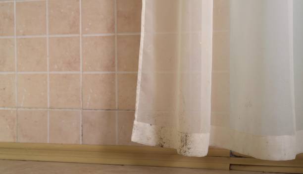 Mold Odor Removal Services in Pompano Beach, FL