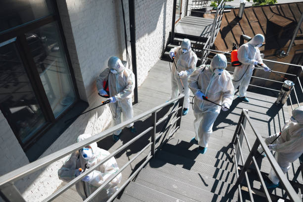 Best Basement Mold Removal  in Pompano Beach, FL