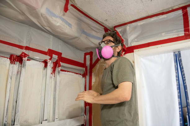 Trusted Pompano Beach, FL Mold Removal Experts