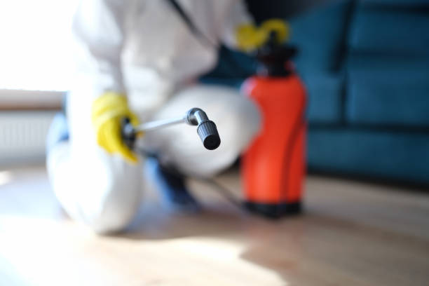 Pompano Beach, FL Mold Removal Pros