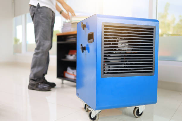 Best Mold Removal for HVAC Installations  in Pompano Beach, FL
