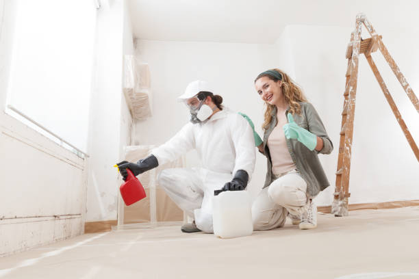 Best Asbestos and Lead Testing During Mold Inspection  in Pompano Beach, FL